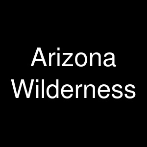 Arizona Wilderness logo